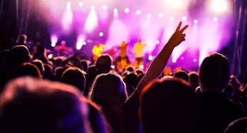 长春音乐节爆料视频在哪看,一网打尽精彩瞬间  第3张