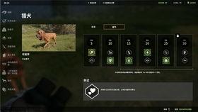 荒野的召唤最新爆料,揭秘神秘新世界，探险之旅即将开启！  第1张